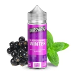 Drip Hacks Blackcurrant Winter 10ml in 120ml Flasche - Image 2