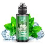 Mr. Mint - Marokko Mint 10ml Aroma Longfill